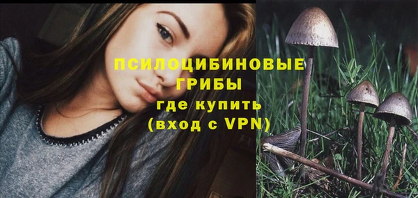 прущие крисы Абинск