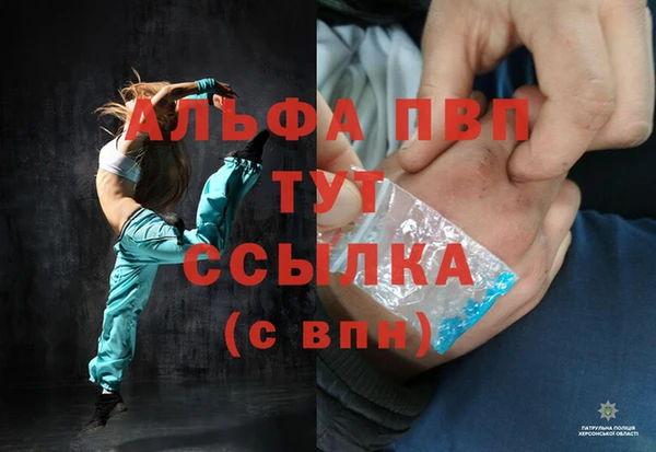 спиды Абаза