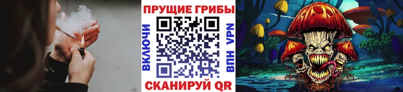 Псилоцибиновые грибы Psilocybe  Электросталь 