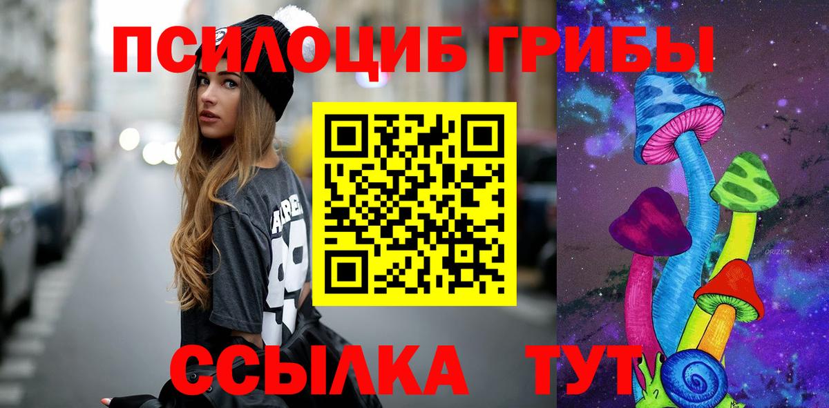 магазин продажи наркотиков  Галлюциногенные грибы Cubensis  Вход с VPN  Галлюциногенные грибы Cubensis  Электросталь 